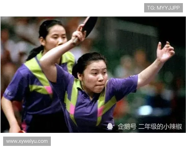 乒乓球传奇周强专访回顾辉煌历程与未来展望