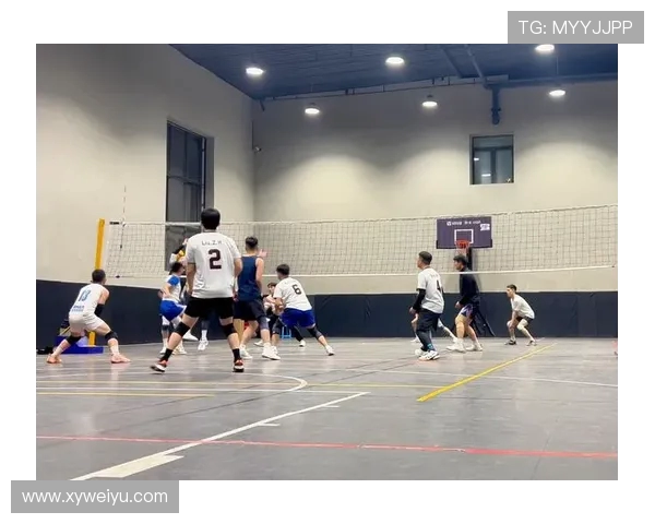 成都排球队在挑战赛中的灵活性表现分析与点评