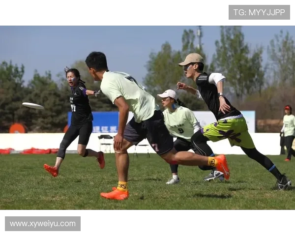 飞盘飞扬上海飞盘队的成长与梦想之旅